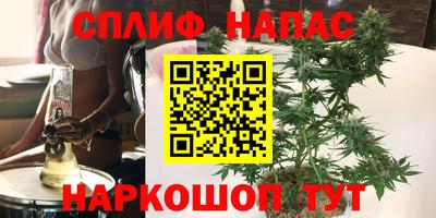 гашик Абинск