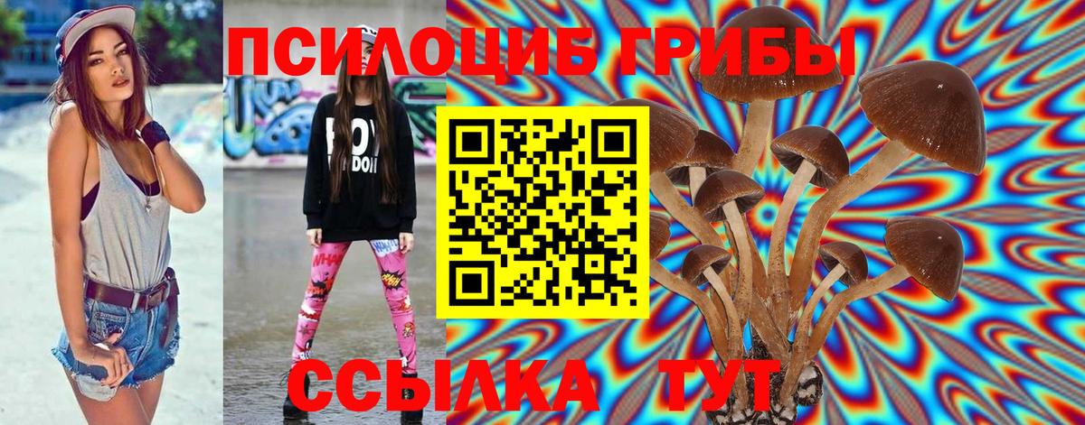как найти закладки  Псилоцибиновые грибы Magic Shrooms  Вход с VPN  Анжеро-Судженск 